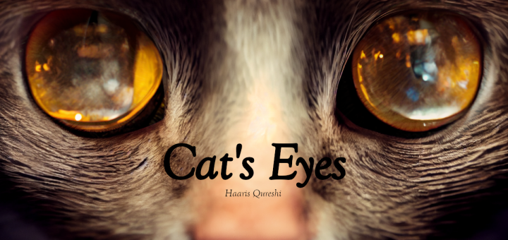 A macro close up of a cat's face, with vague reflections featured in their eyes, the text 'Cat's Eyes' and 'Haaris Qureshi'