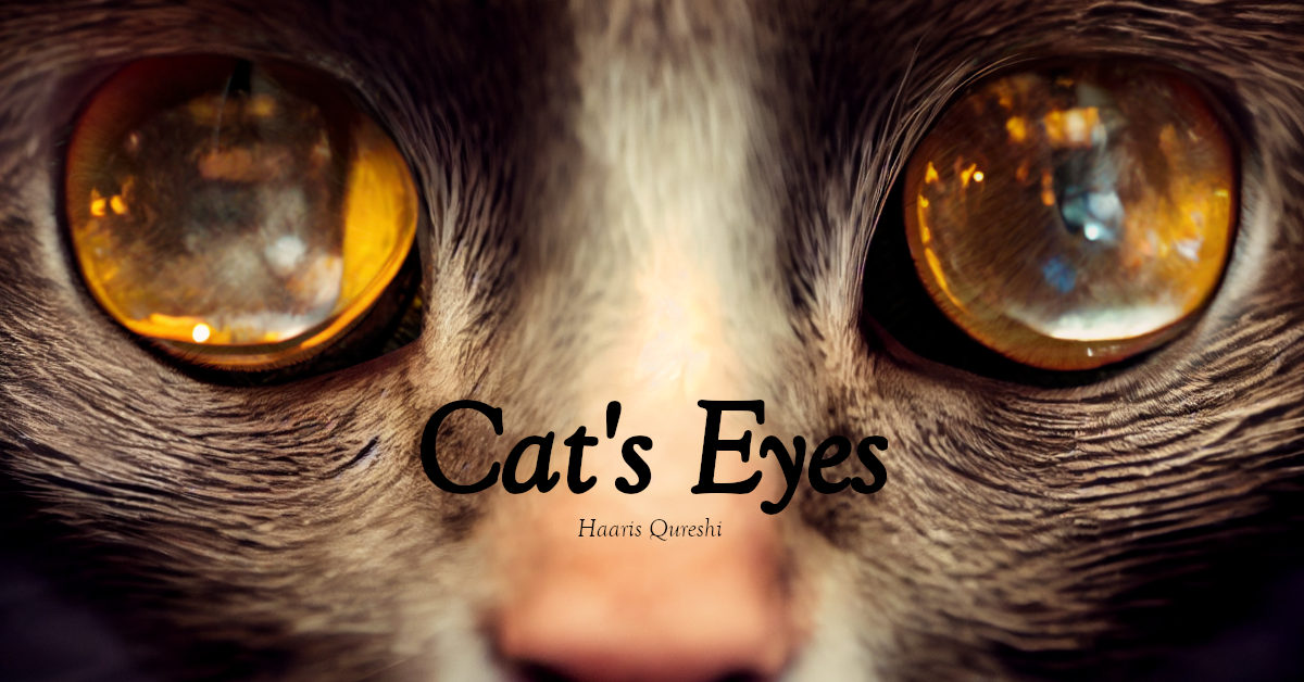 A macro close up of a cat's face, with vague reflections featured in their eyes, the text 'Cat's Eyes' and 'Haaris Qureshi'
